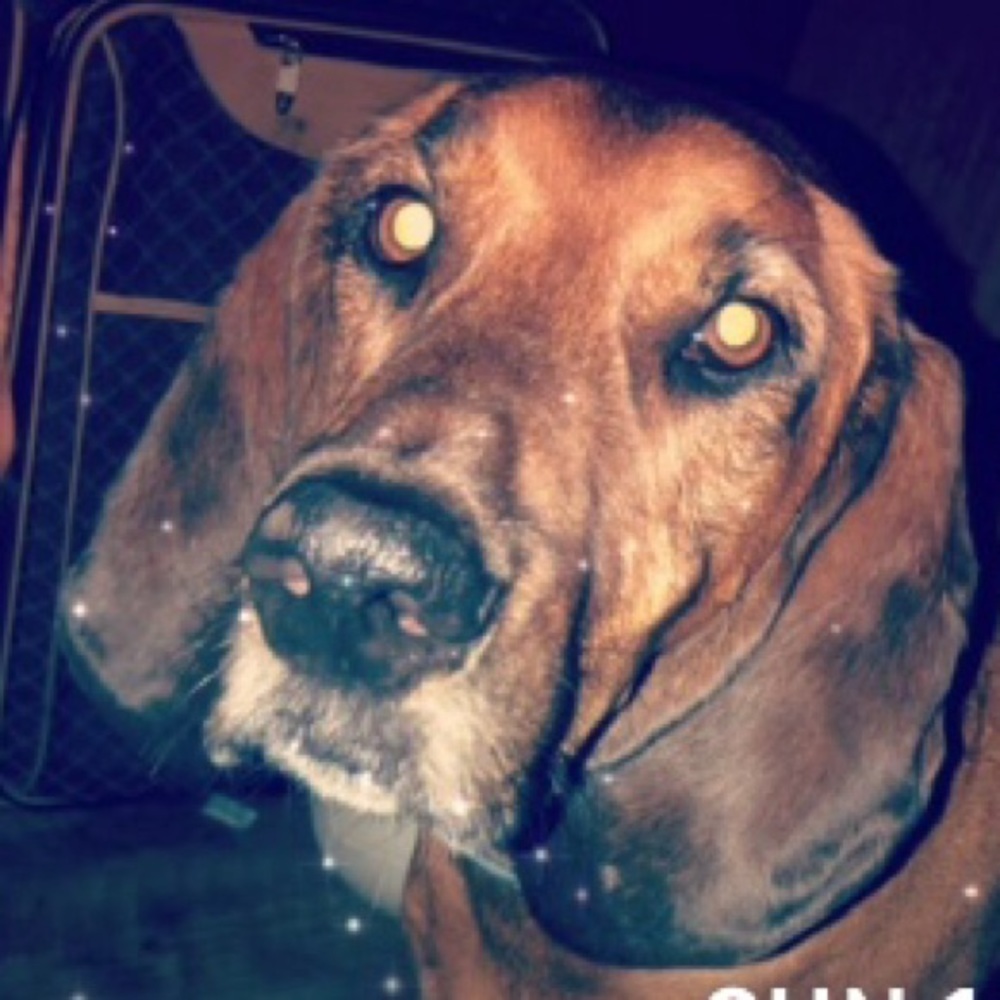 Meet your Posher, Ben